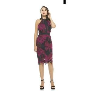 Alexia‎ Admor Celine Lace overlay dress sz 2 New with tags